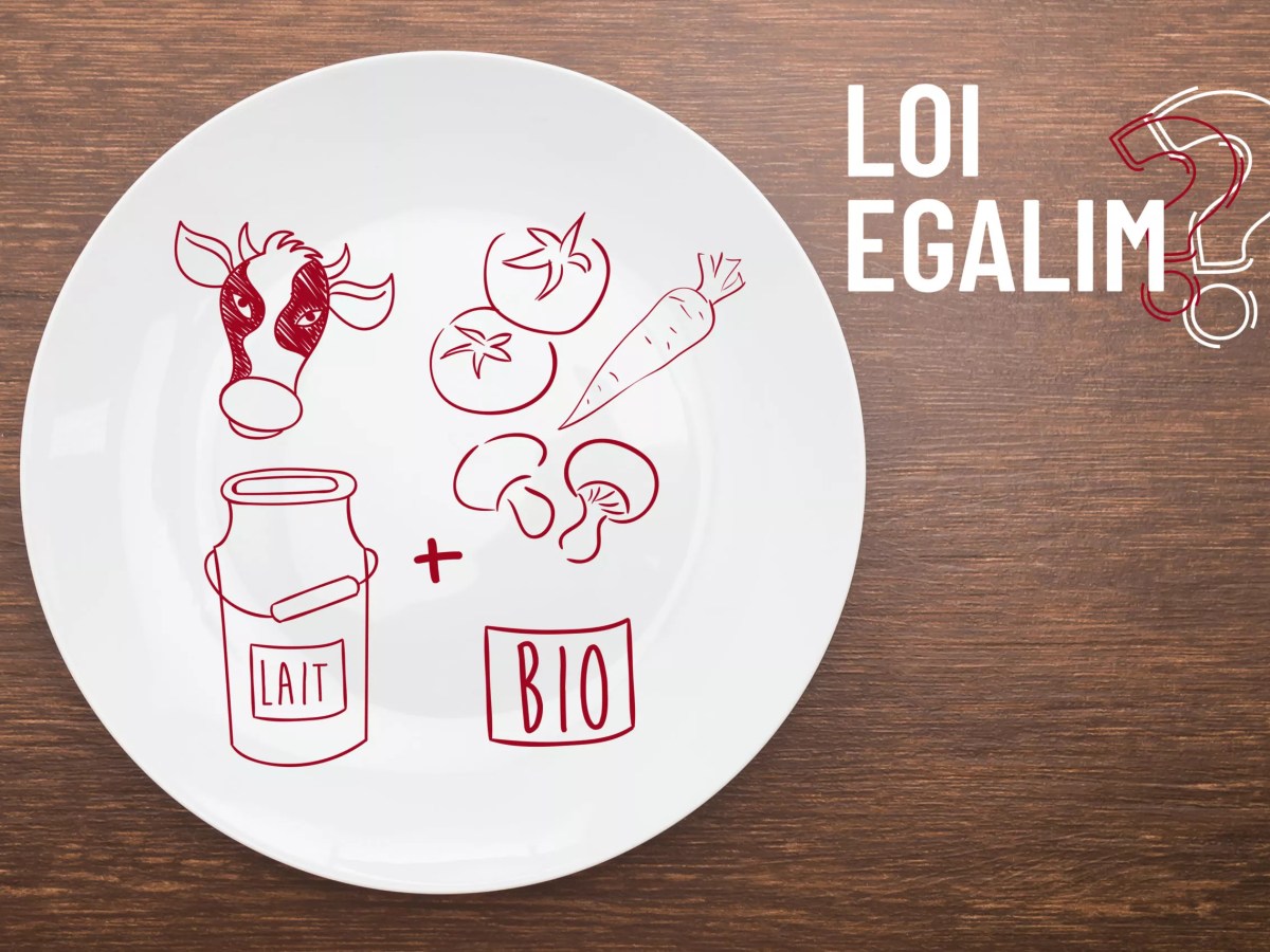 La loi EGALIM : Transformer la restauration collective avec l&rsquo;aide des&nbsp;consultants